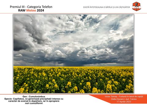 2nd Edition