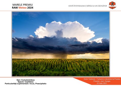 2nd Edition